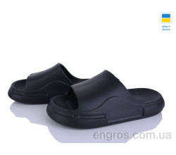 Шлепки Golden Lion